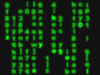 Matrix Screensaver