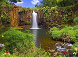 Nature Reserve Screensaver