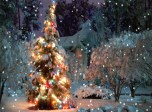 Christmas Serenity Screensaver| Download screensaver for free