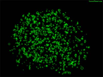 SaversPlanet MicroLife Screensaver screenshot SaversPlanet MicroLife Screensaver screenshot