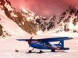 Cessna 185 airplane Предпросмотр Обоев