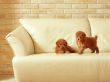Two puppies on sofa Предпросмотр Обоев