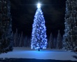 Christmas blue tree Предпросмотр Обоев