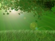 Green leafs in light Wallpaper Preview