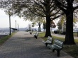 Federal Hill Park Wallpaper Preview