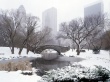 Central Park in winter Предпросмотр Обоев