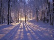 Winter Sunset II Предпросмотр Обоев