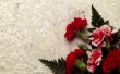 Carnation Decor Предпросмотр Обоев