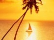 Sunset Sailing Предпросмотр Обоев