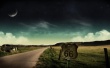 Route 66 Предпросмотр Обоев