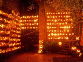 A lot of pumpkins Обои