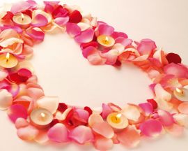 Petals Valentines Wallpaper