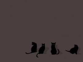 Four Black Cats Обои