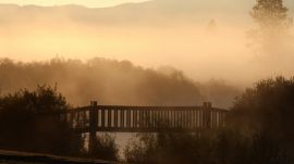 Bridge in mist Обои