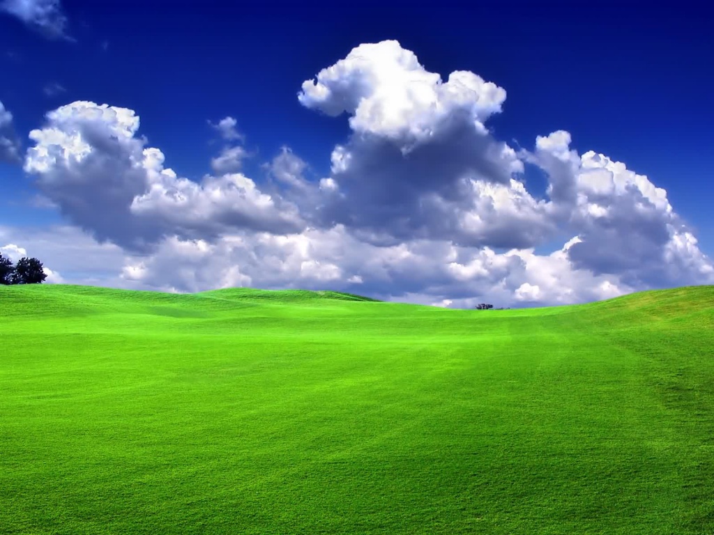 Green field - scenery wallpaper