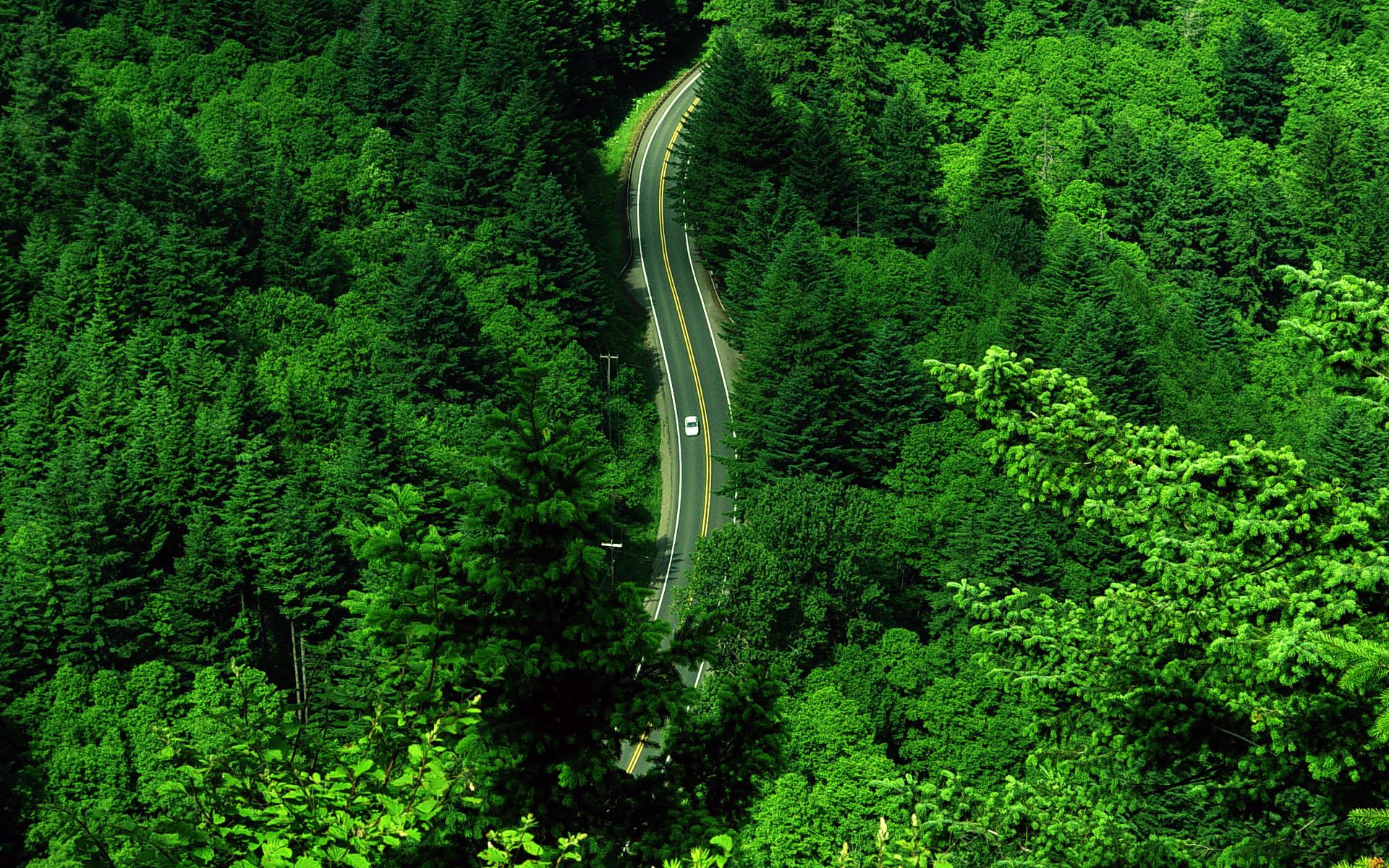 19x10 目に優しい緑の壁紙 Wuxga 壮大で幻想的で絶景な風景写真 Naver まとめ