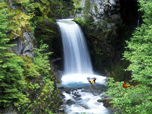 Free Animals Screensavers - Charming Waterfalls Screensaver