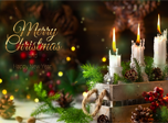 Free Animated Screensavers - Christmas Warmth Screensaver