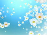 Free Animated Screensavers - Flying Camomiles Screensaver