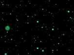 Free Animated Screensavers - Particles 3D Screensaver