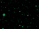 Particles 3D Screensaver - Free 3D Screensaver