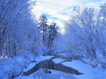 Spring River Screensaver - Download Free Spring Screensaver