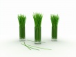 Lemon grass Wallpaper Preview