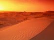 Desert sunrise Wallpaper Preview