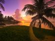 Bahia Honda Park Wallpaper Preview