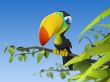 Colorful parrot Wallpaper Preview