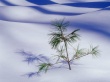 Frost winter plant Предпросмотр Обоев