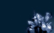 Blue flower Предпросмотр Обоев