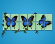 Spring blue butterfly Предпросмотр Обоев