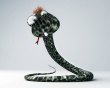 Funny snake Предпросмотр Обоев
