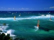 Windsurfers Maui Wallpaper Preview