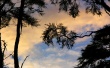 Barkbay sunset Предпросмотр Обоев