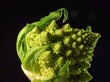 Fresh Broccoli Предпросмотр Обоев