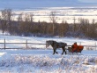 Winter Wonderland Предпросмотр Обоев