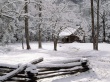 Carter Shields Cabin Предпросмотр Обоев