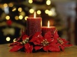 Elegant Candles Wallpaper Preview