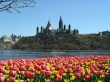 Parliament Hill Предпросмотр Обоев