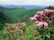 Blue Ridge Parkway Wallpaper Preview