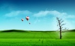 Sky Balloon Wallpaper Preview