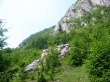 Green Hillock Предпросмотр Обоев