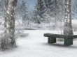 Winter Background Wallpaper Preview