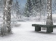 Winter Background Предпросмотр Обоев