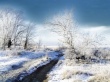 Winter Wallpapers