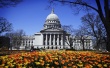 A Madison Spring Day Предпросмотр Обоев