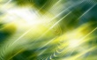 Flash Yellow Green Wallpaper Preview