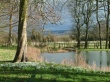 Snowdrops near lake Wallpaper Preview